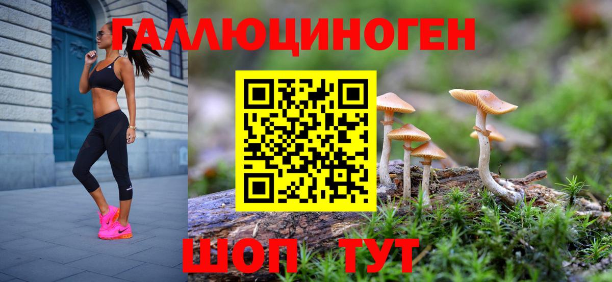 Псилоцибиновые грибы Cubensis  Галлюциногенные грибы ЛСД  Вход с VPN  Бор 